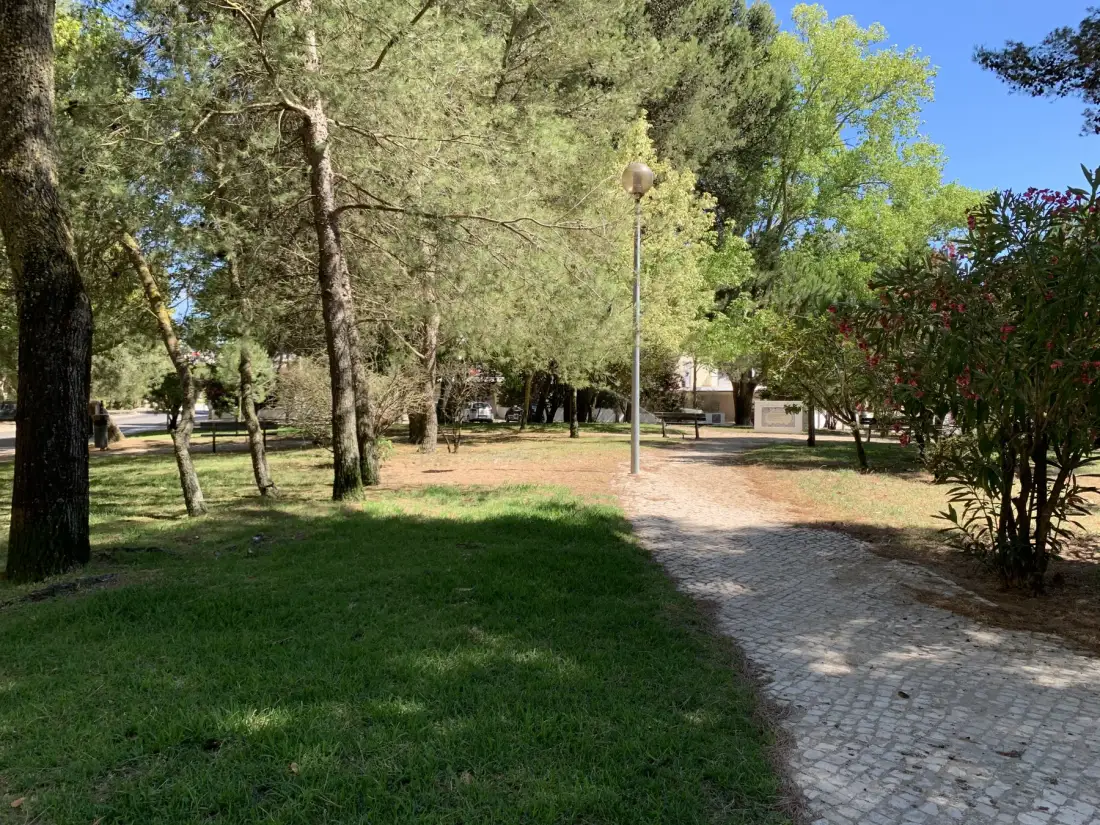 Un sendero arbolado del parque pasa junto a zonas de césped y una farola.