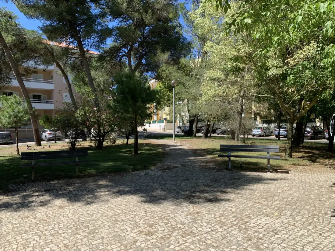 Un sendero pavimentado entre árboles atraviesa un pequeño parque al aire libre con bancos.