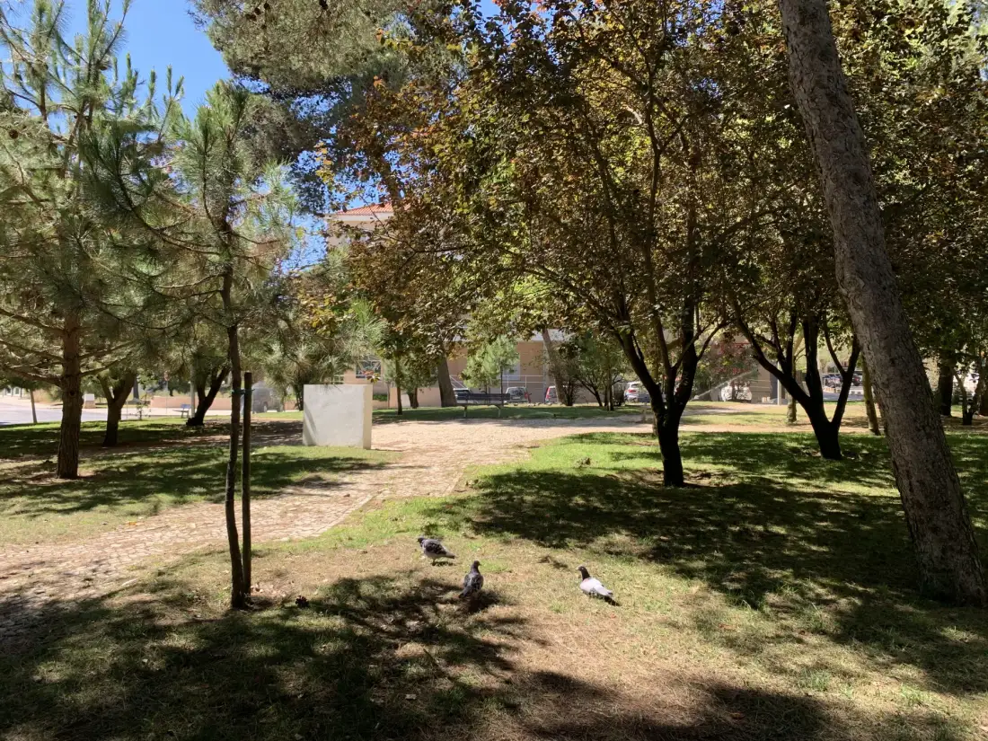 Un parque arbolado con un sendero y palomas en el suelo.
