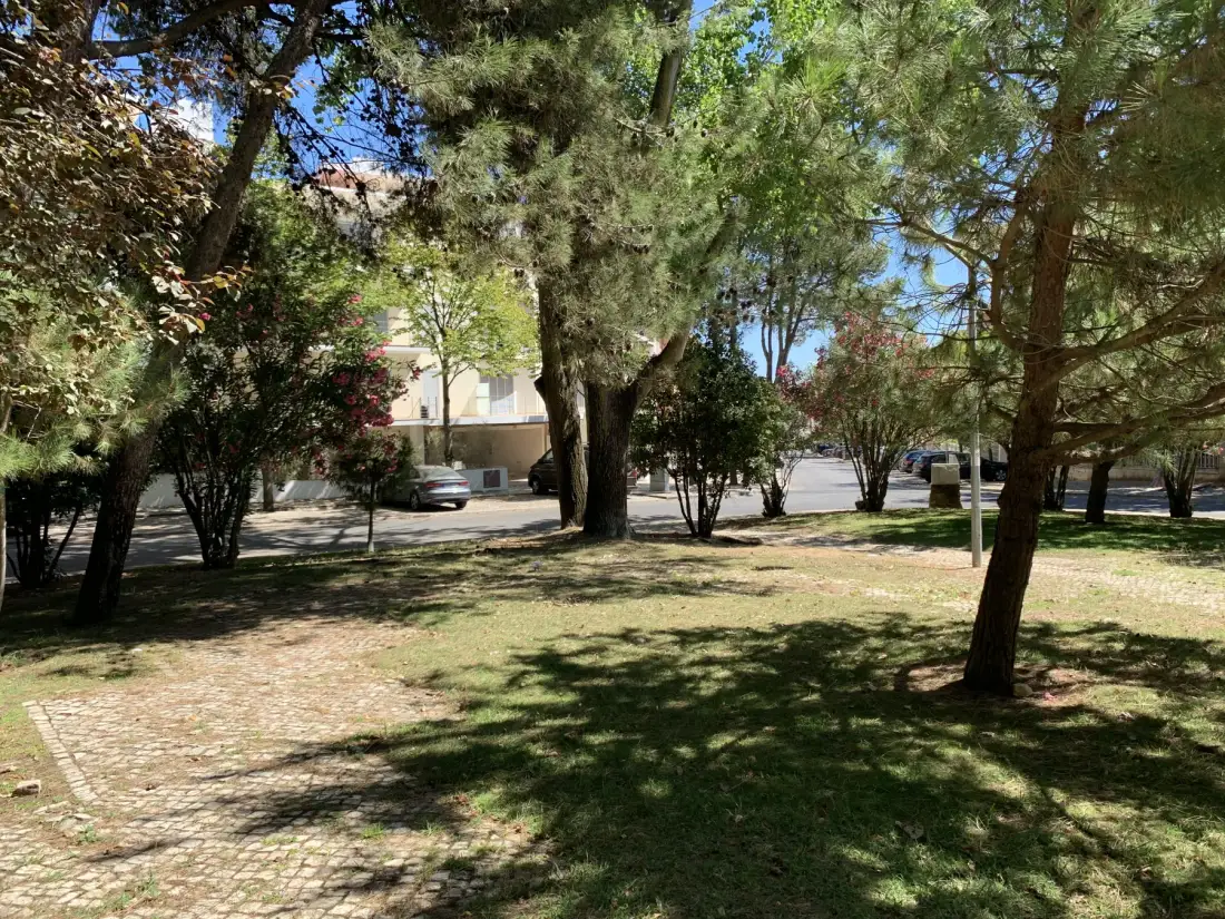 Un parque sombreado con árboles maduros, arbustos y un camino pavimentado.