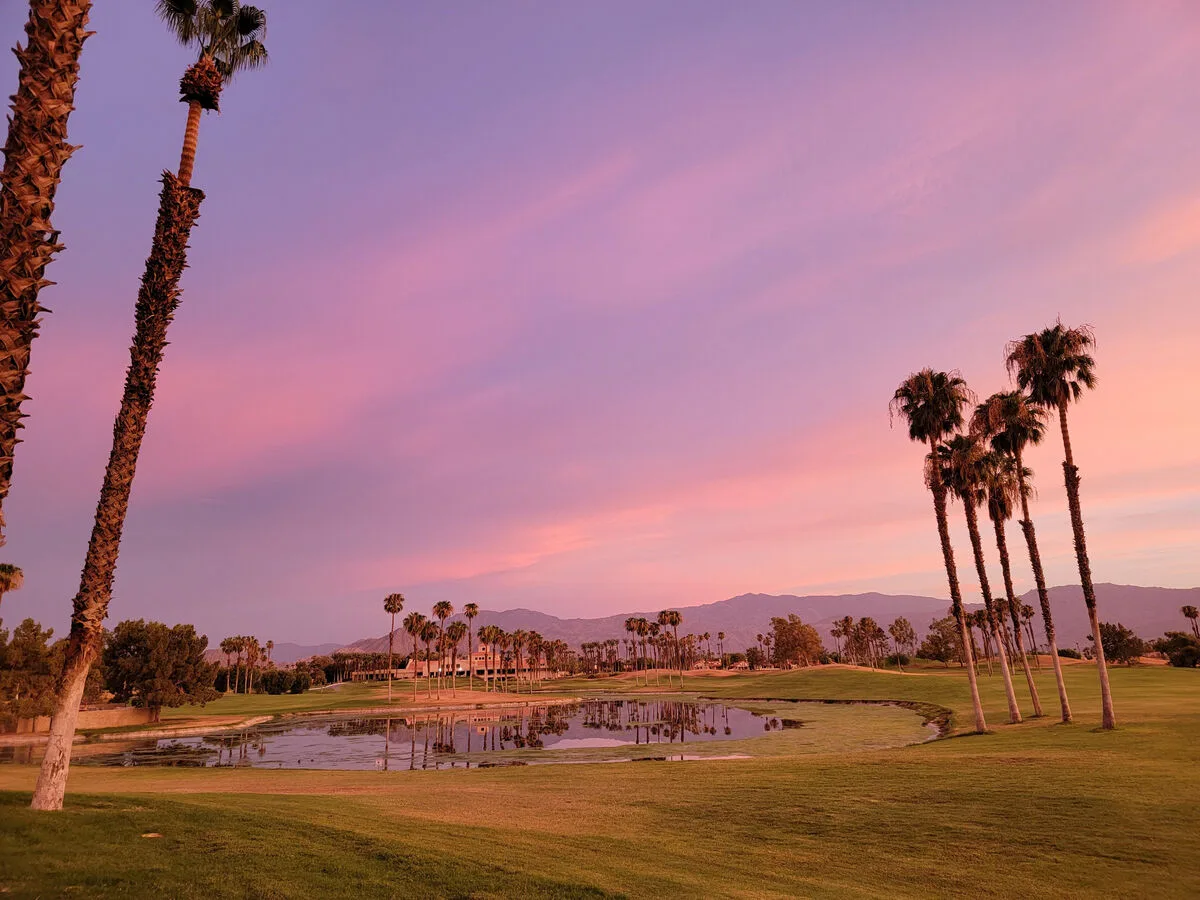 Un campo de golf ajardinado con palmeras y un estanque bajo un cielo rosado al atardecer.