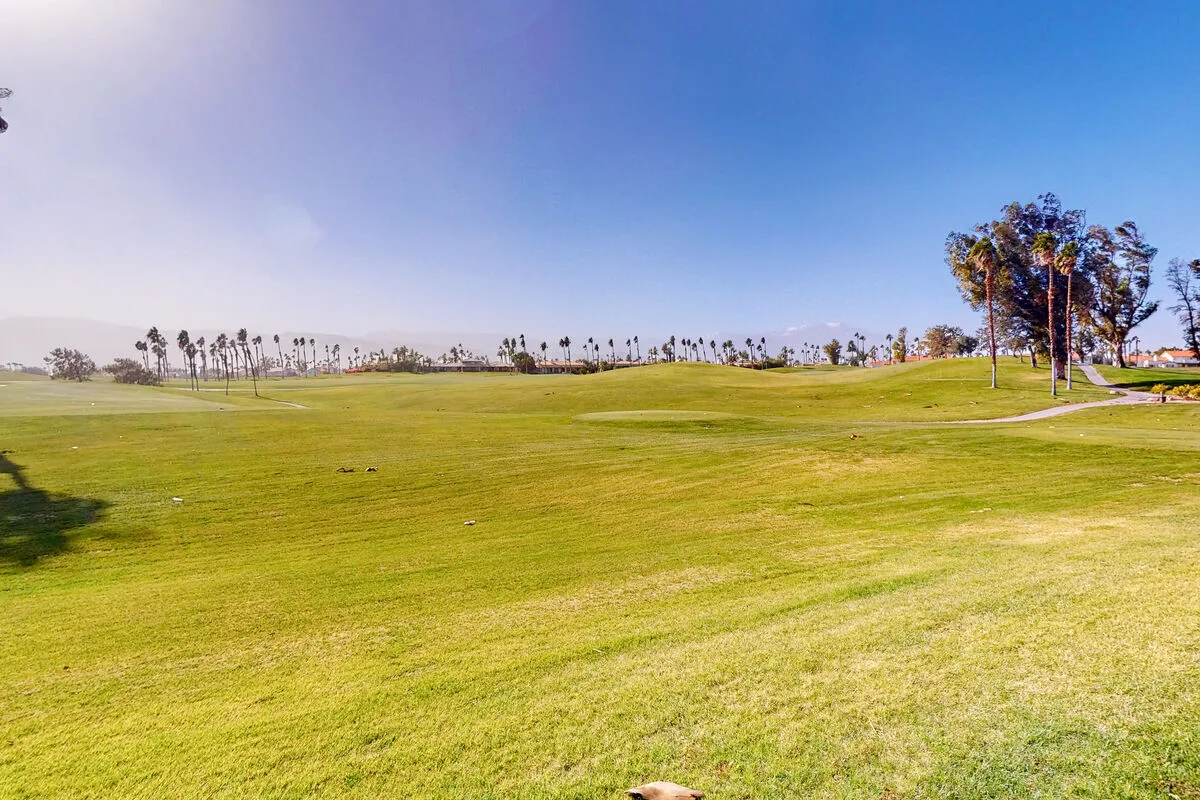 Un amplio campo de golf se extiende hacia una línea de palmeras.