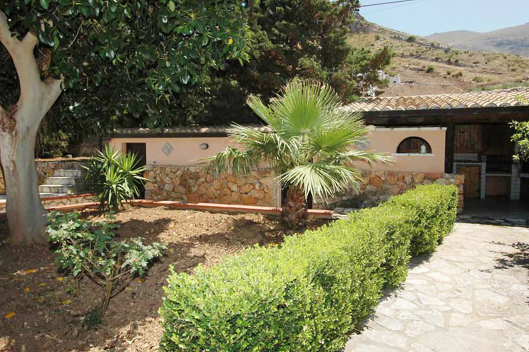 A landscaped courtyard with a palm tree, hedges, and a stone path.