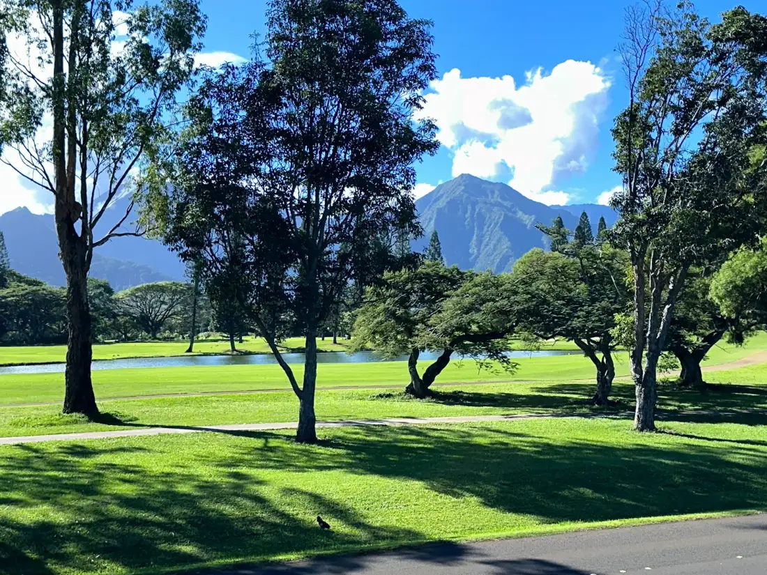 Un parque verde con árboles dispersos y montañas bajo un cielo azul brillante.