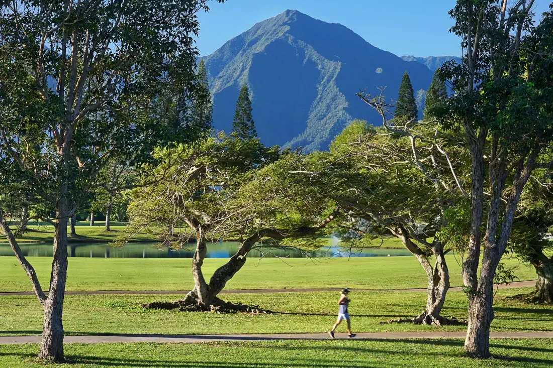 Una persona camina por un parque arbolado, con una montaña al fondo.