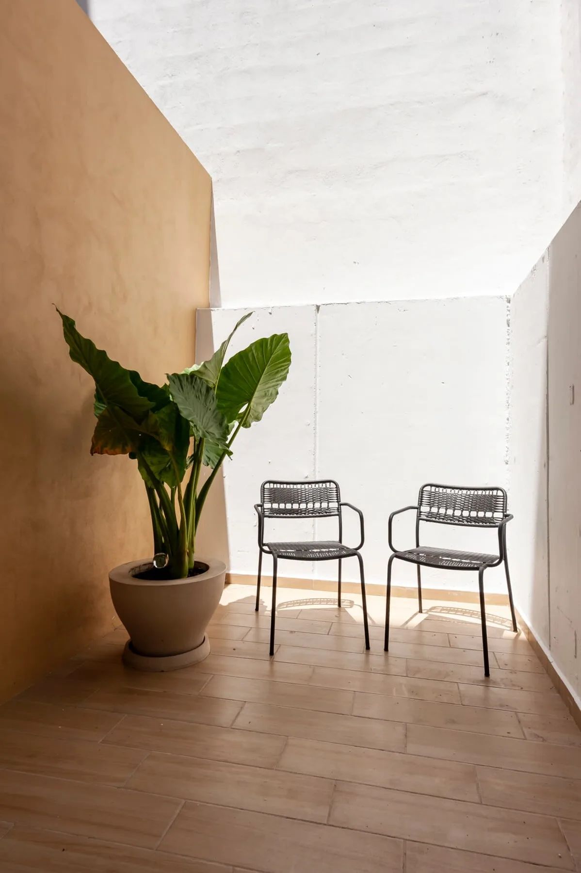 Stylish 1BR with Perfect deco in Polanco