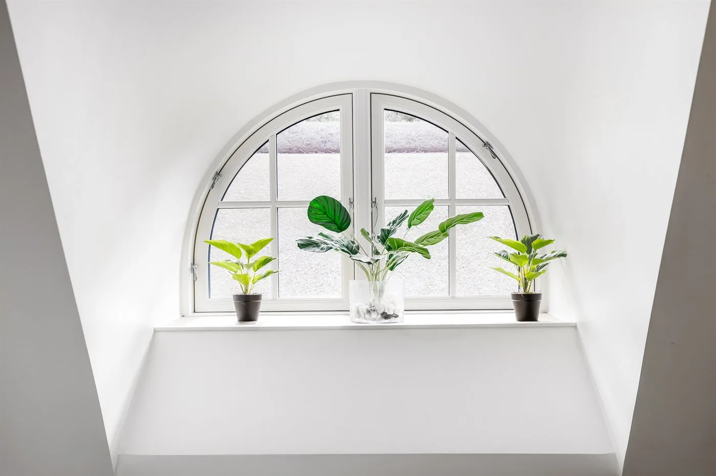 Una ventana interior luminosa con plantas en macetas sobre el alféizar.