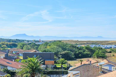 A sunny view over rooftops and trees toward distant hills.