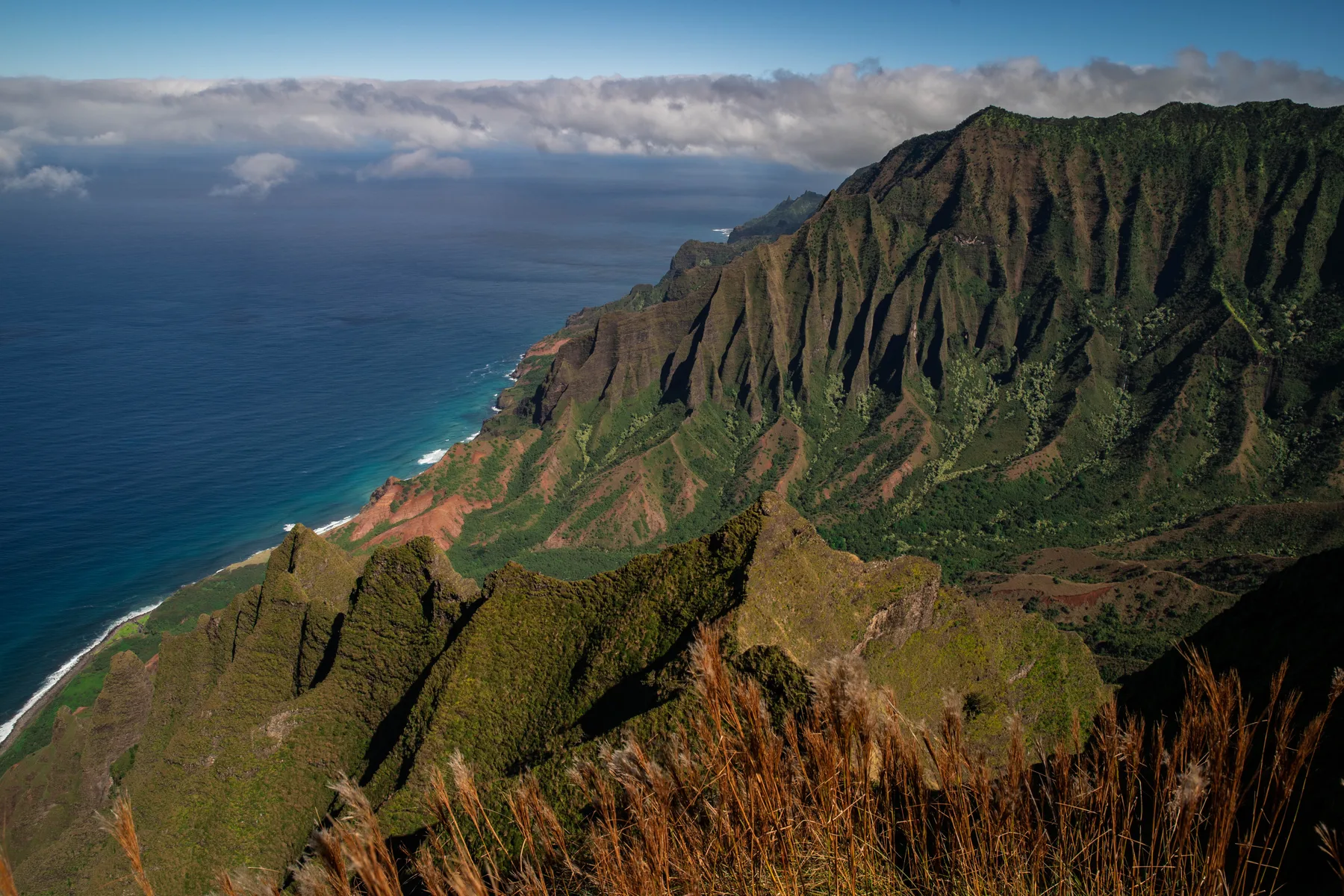 A rugged green mountain coastline rises above the blue ocean.
