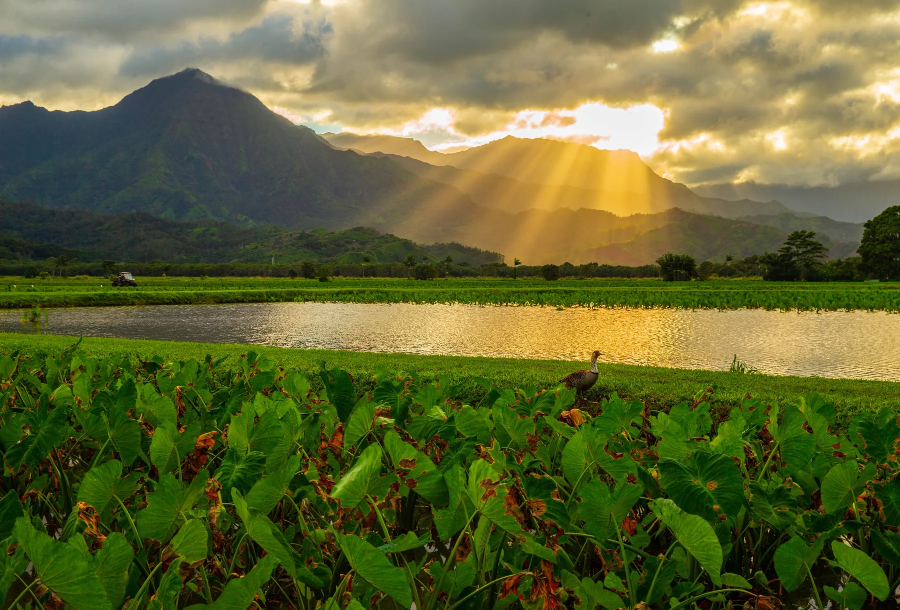 A green field and water lie beneath mountains as sunlight breaks through the clouds.