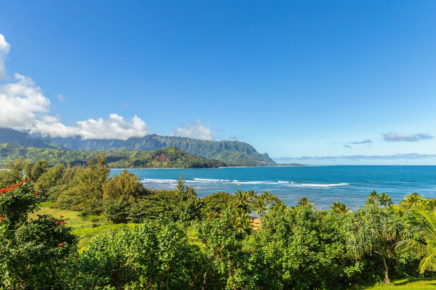 A coastal landscape with lush greenery, blue ocean, and mountains in the distance.