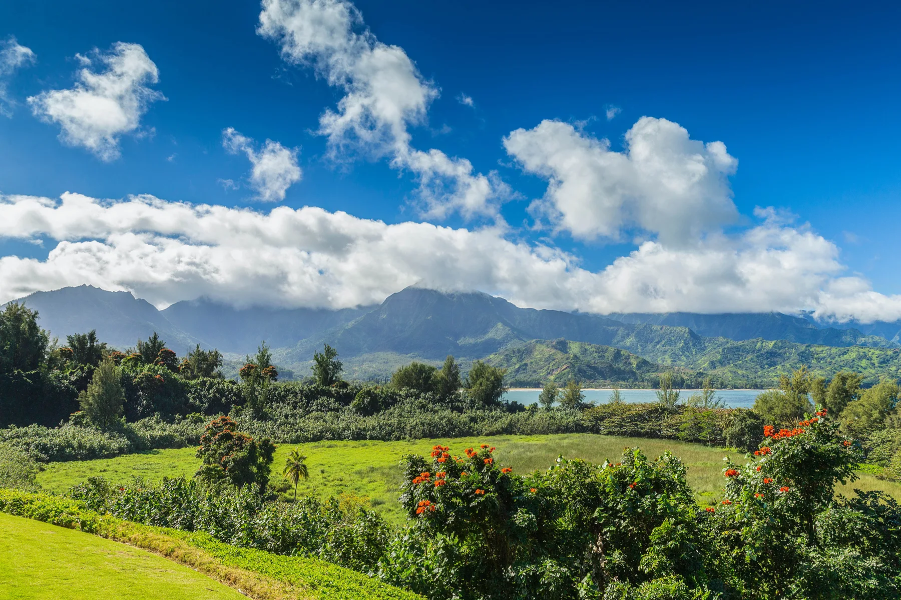 A green landscape with flowering shrubs, distant mountains, and a cloudy blue sky.