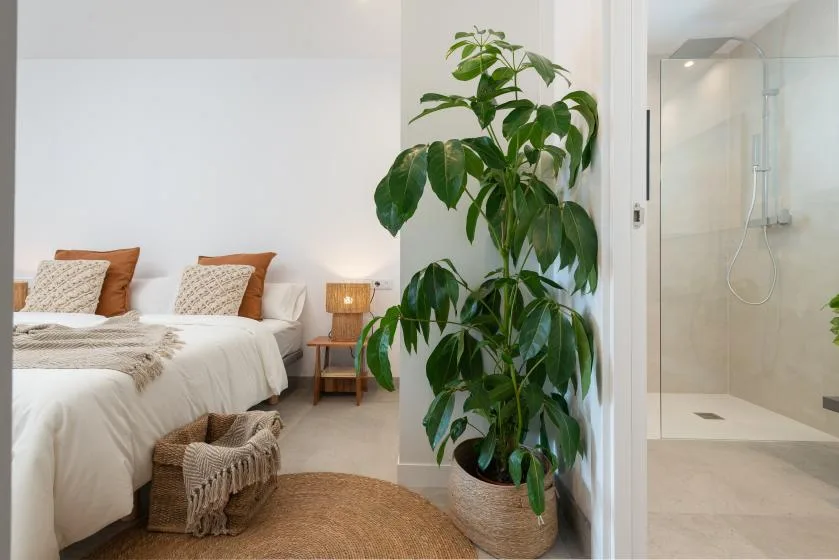 Un dormitorio luminoso con una planta frondosa junto a una zona de ducha abierta.