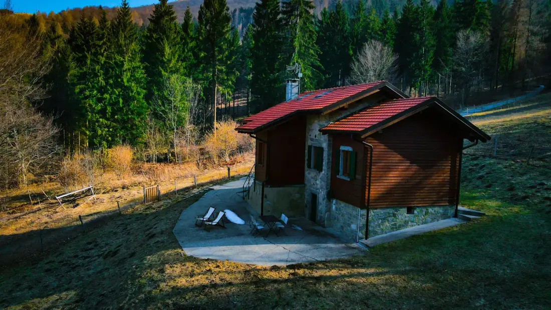 A small wooden cabin sits in a forest clearing beside a paved patio.