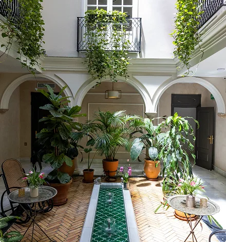 Interior patio with vegetation and fountain