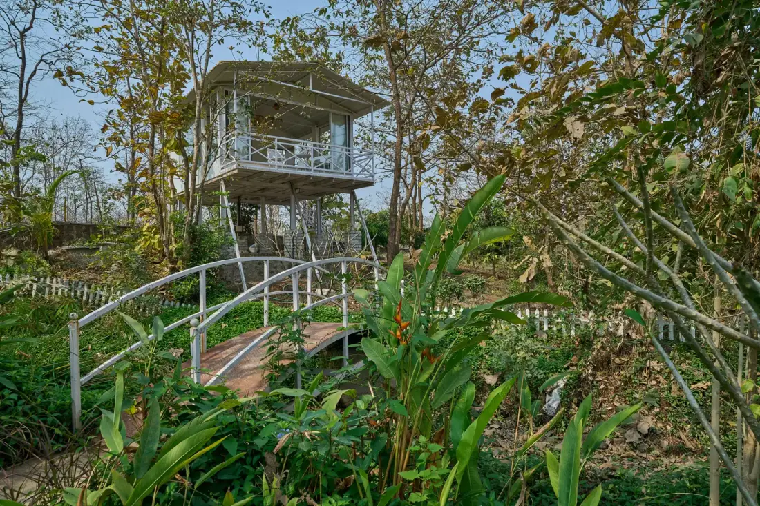 Chirping Chalet