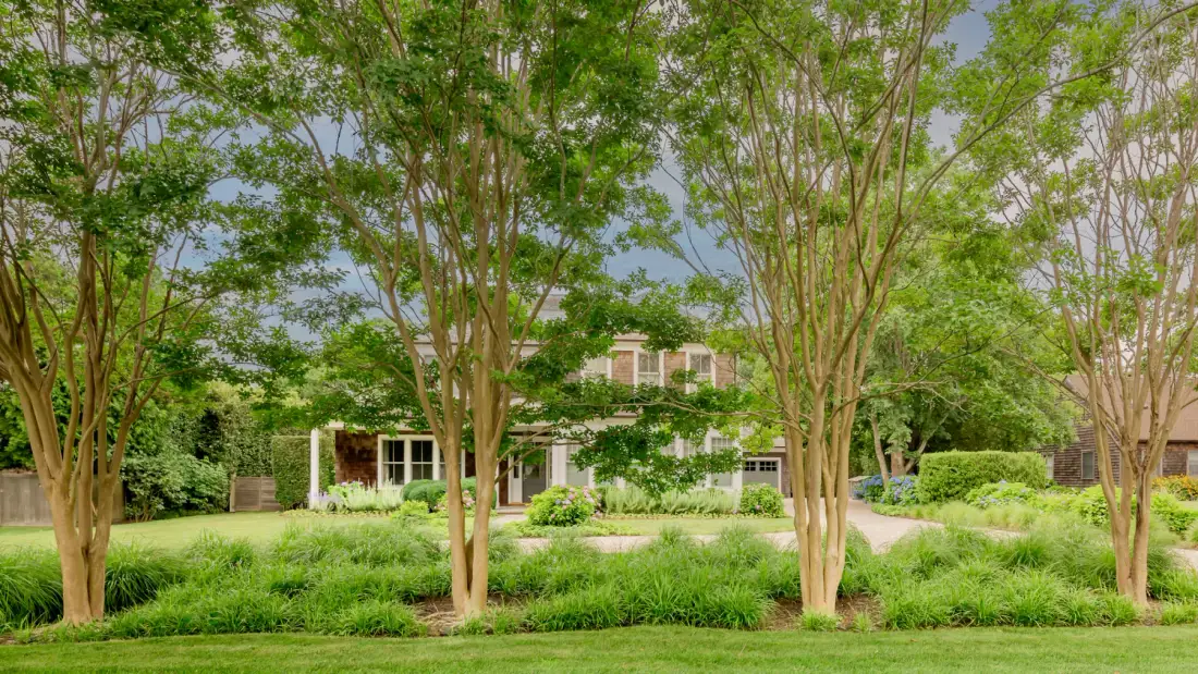 A house is partly visible behind trees and landscaped greenery.