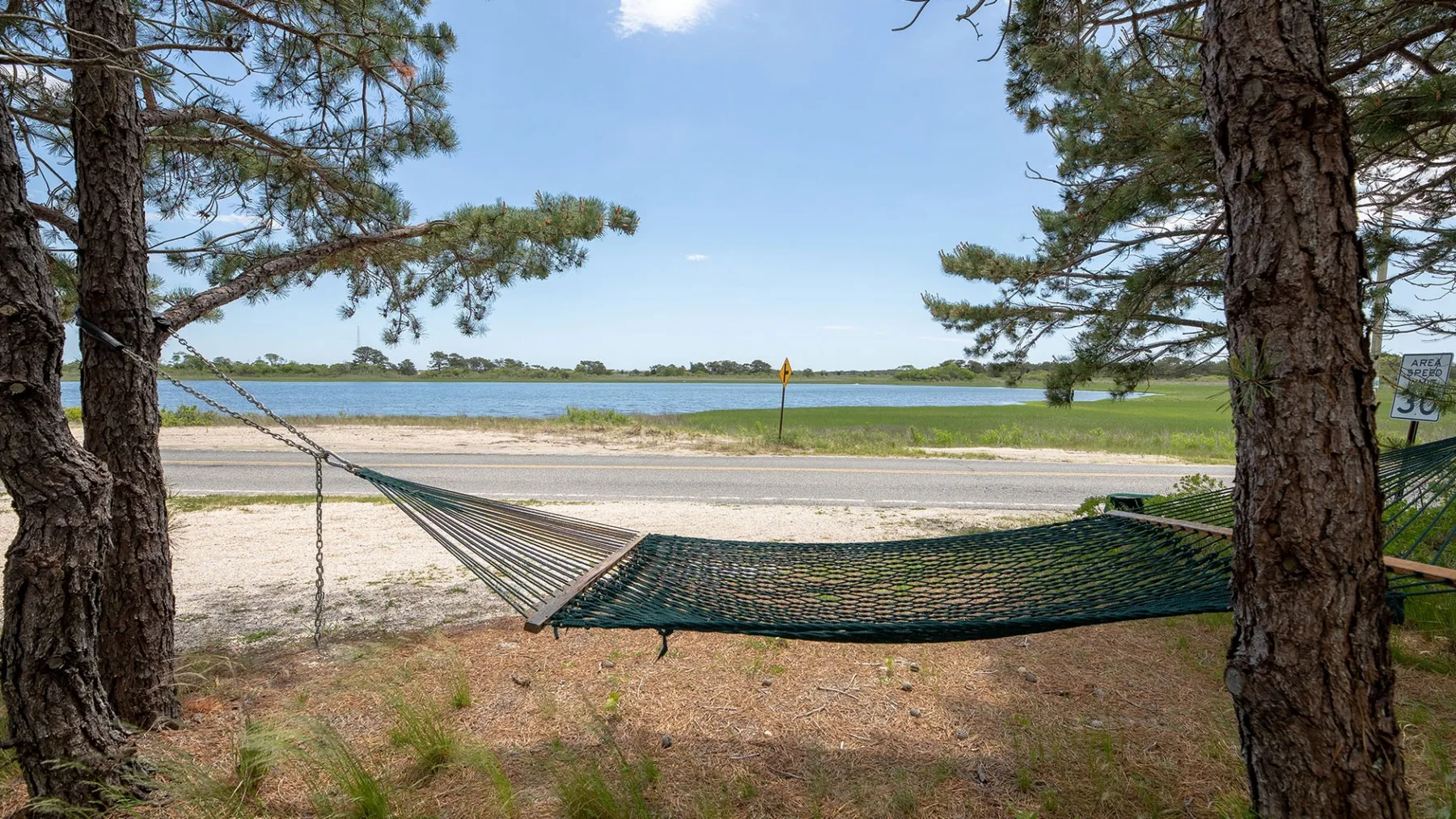 Una hamaca cuelga entre pinos junto a una orilla arenosa del lago.