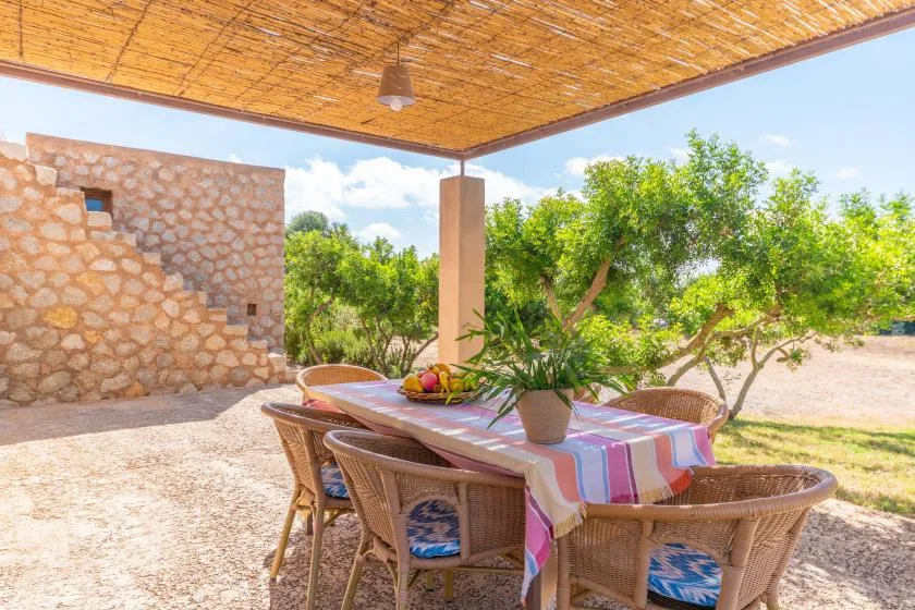 A shaded outdoor dining area with a striped tablecloth and surrounding trees.