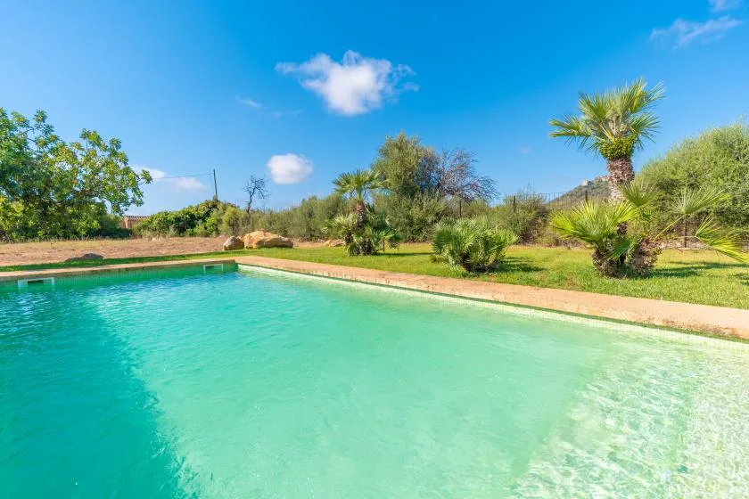 A swimming pool sits beside a grassy garden with palm trees.