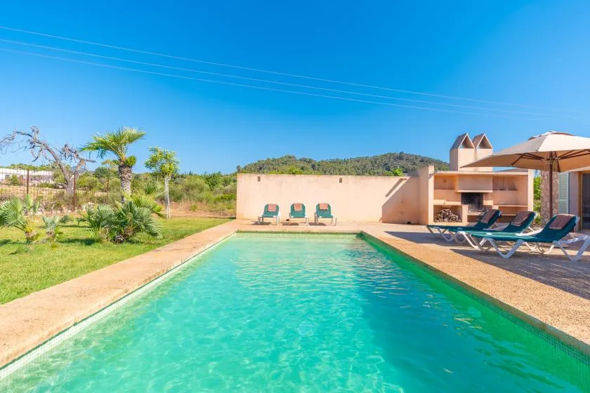 An outdoor swimming pool is bordered by lounge seating and a sunny garden.