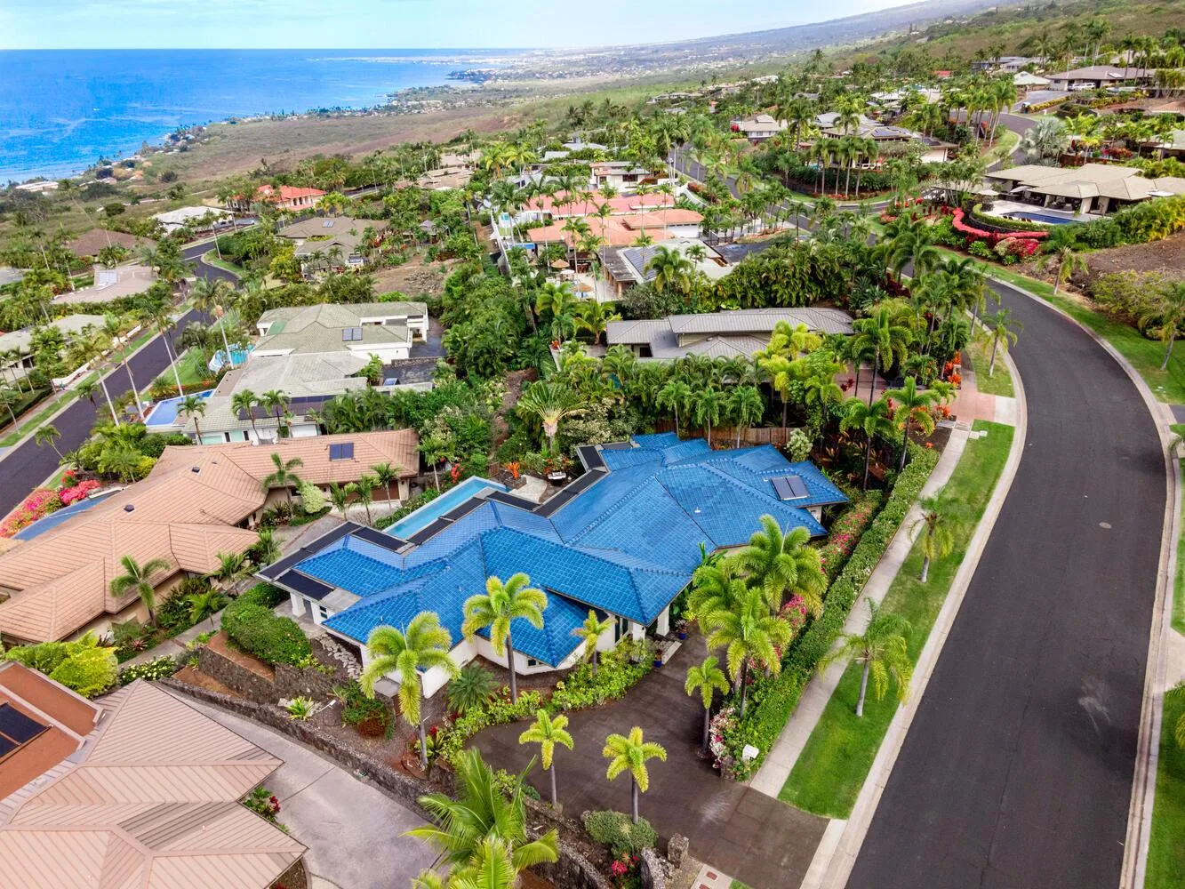 An aerial view of homes among tropical landscaping beside a curving road.