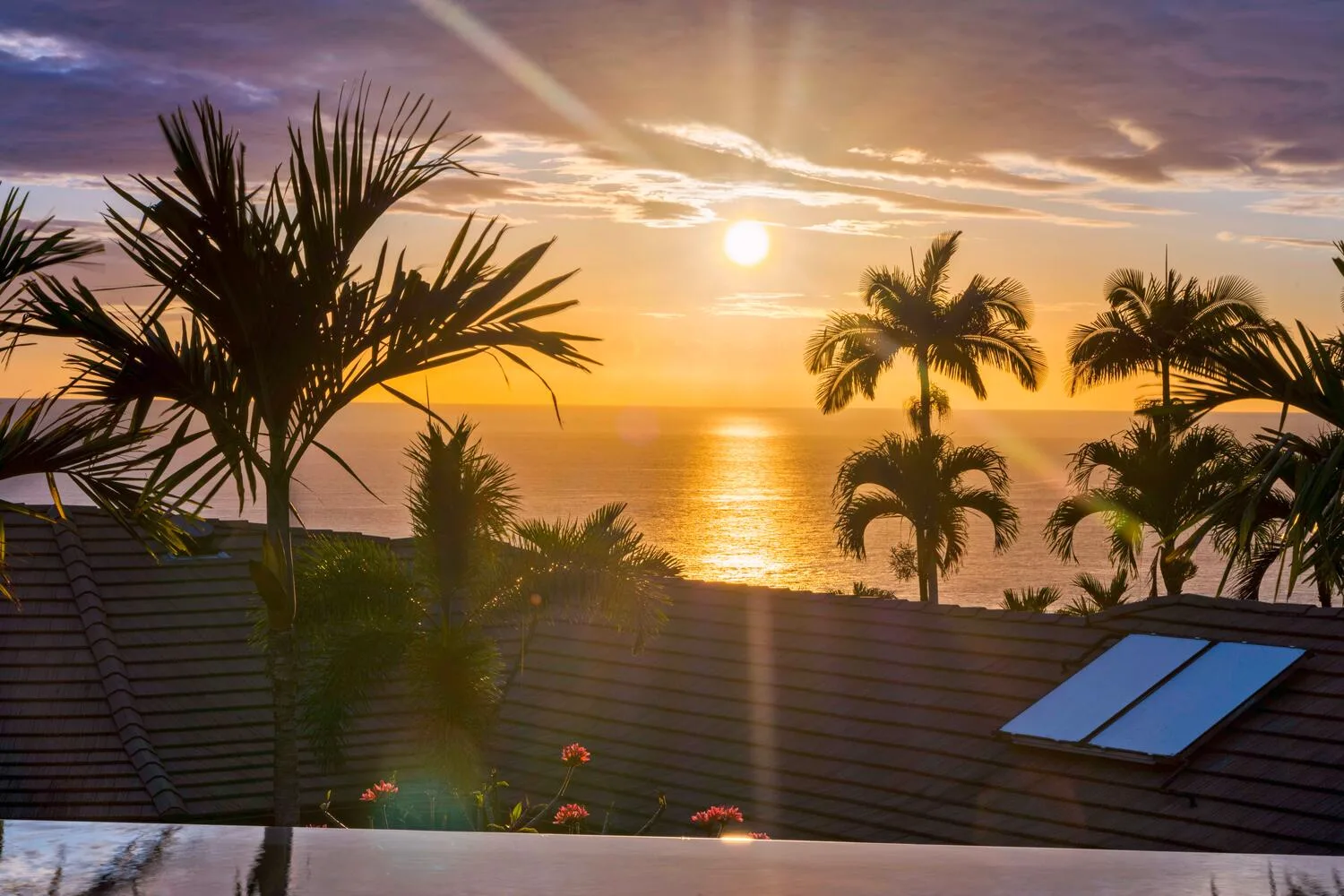 Palm trees frame a sunset over the ocean beyond a tiled roof.