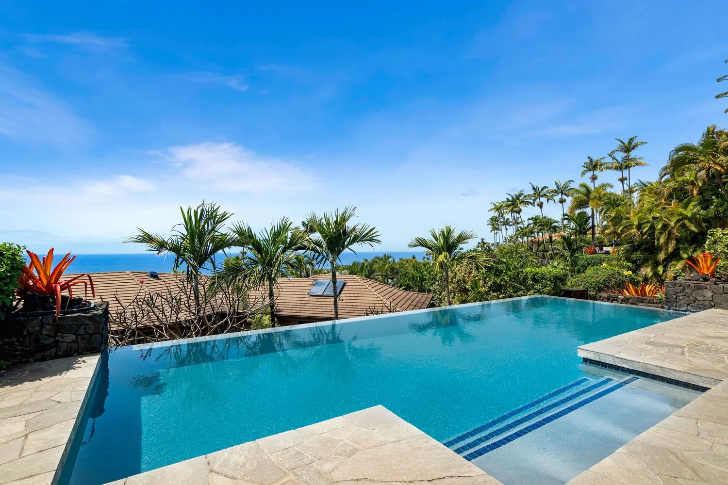 An outdoor swimming pool overlooks palm trees and the ocean.