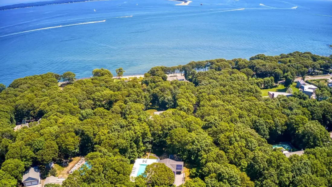 Aerial view of a wooded coastline beside blue water.