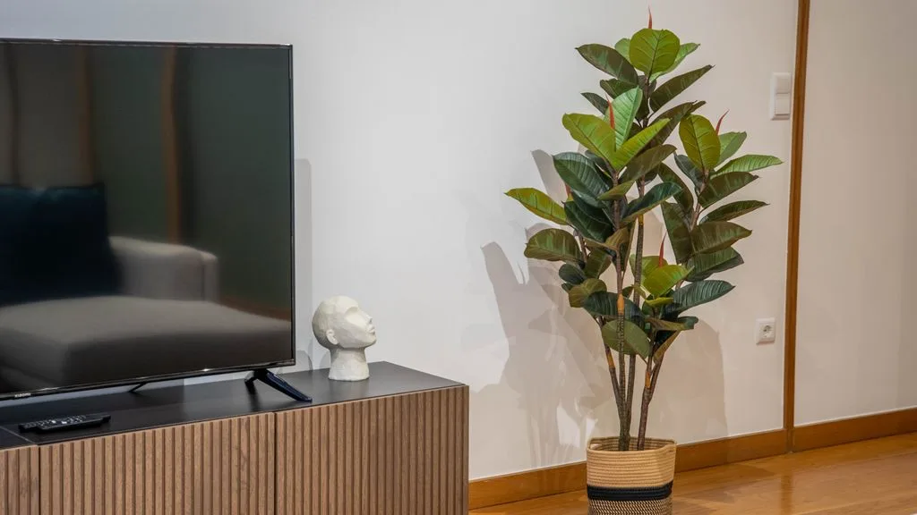 A living room with a television on a wooden cabinet beside a potted plant.