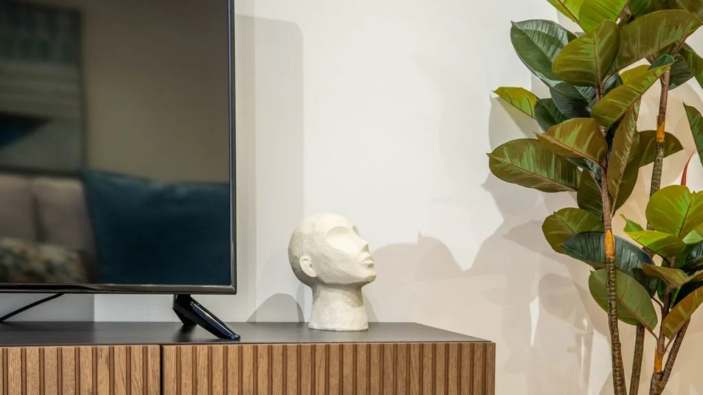 A television and sculpted bust sit on a wooden cabinet beside a leafy plant.