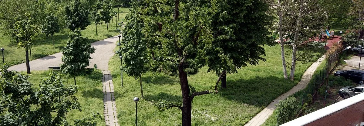 Hotel grounds