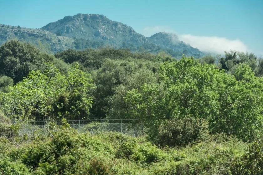 A green, wooded hillside stretches toward a mountain ridge beneath a clear sky.