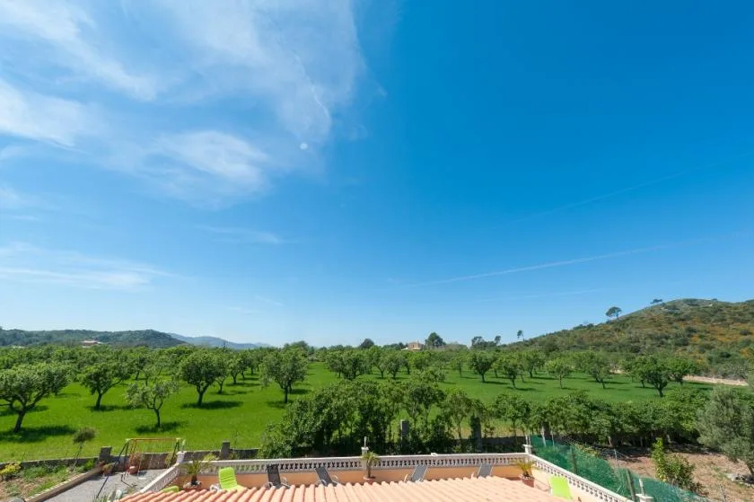 A green orchard spreads across rolling hills beneath a wide blue sky.