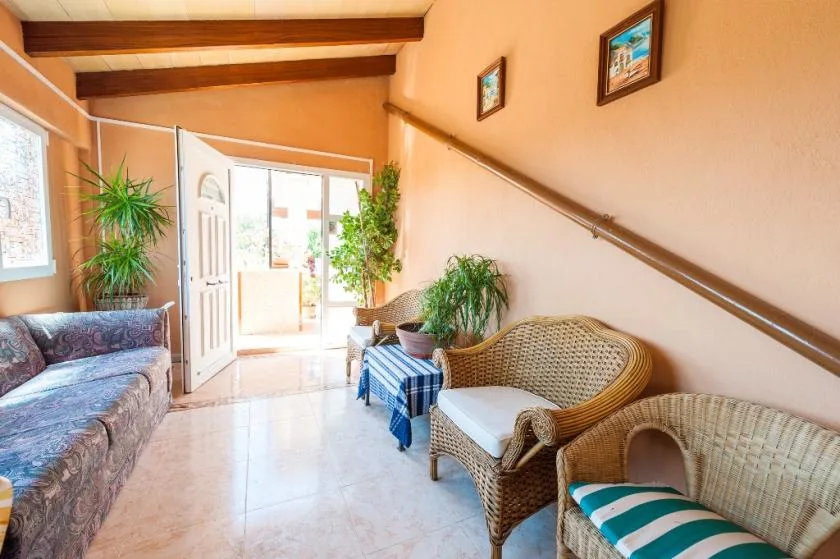A bright living room with wicker seating and several potted plants.