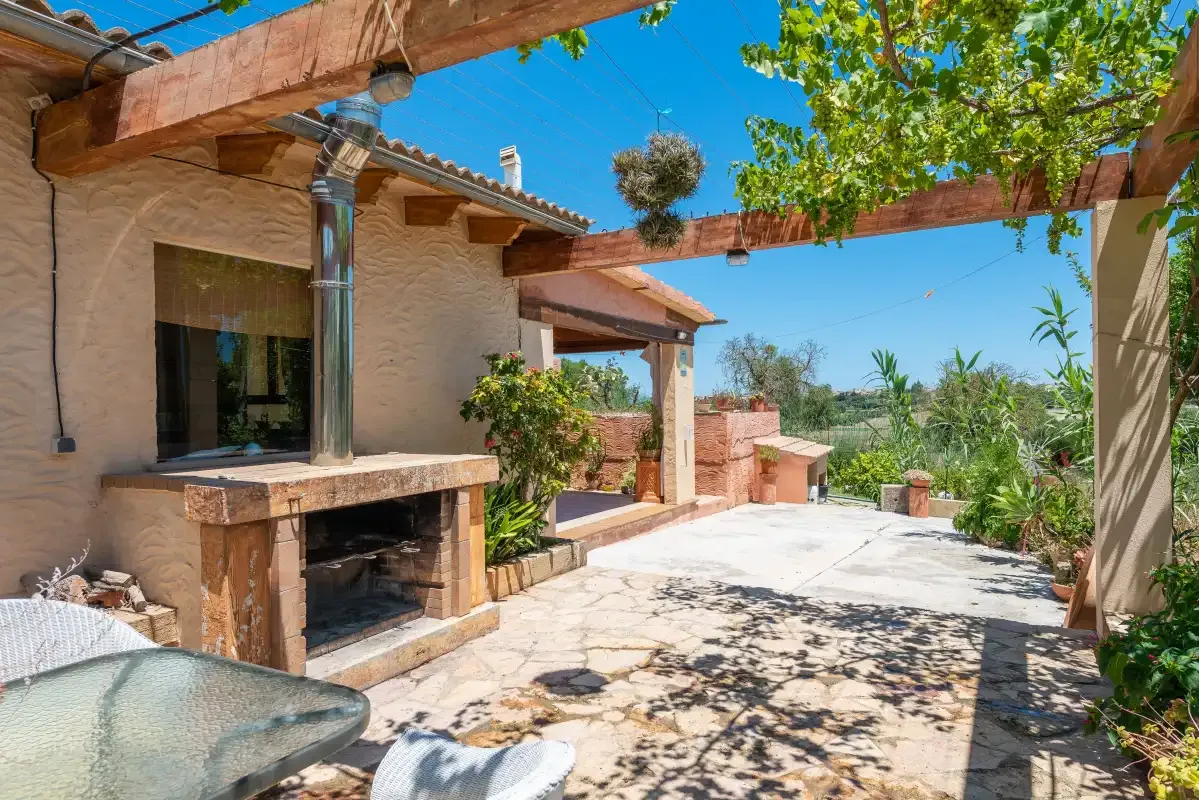 A sunny outdoor patio with a covered seating area and garden plants.