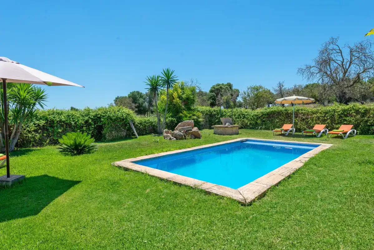 A rectangular swimming pool sits in a green lawn bordered by hedges.