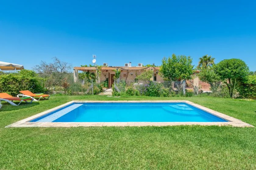 An outdoor swimming pool sits in a grassy garden with trees and shrubs.