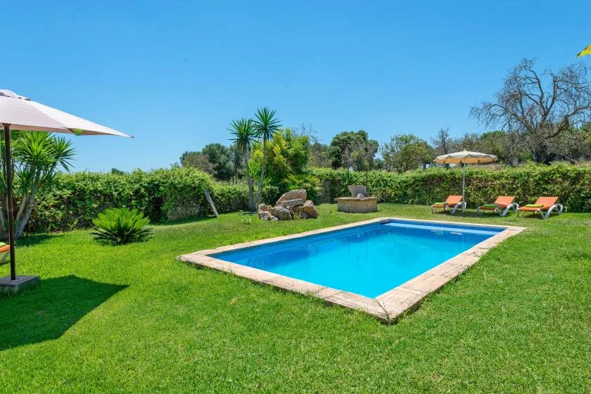 A swimming pool sits in a grassy garden bordered by hedges.