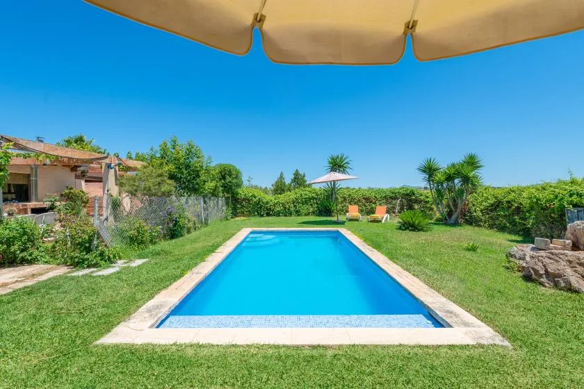 A swimming pool sits in a grassy garden beneath a clear blue sky.