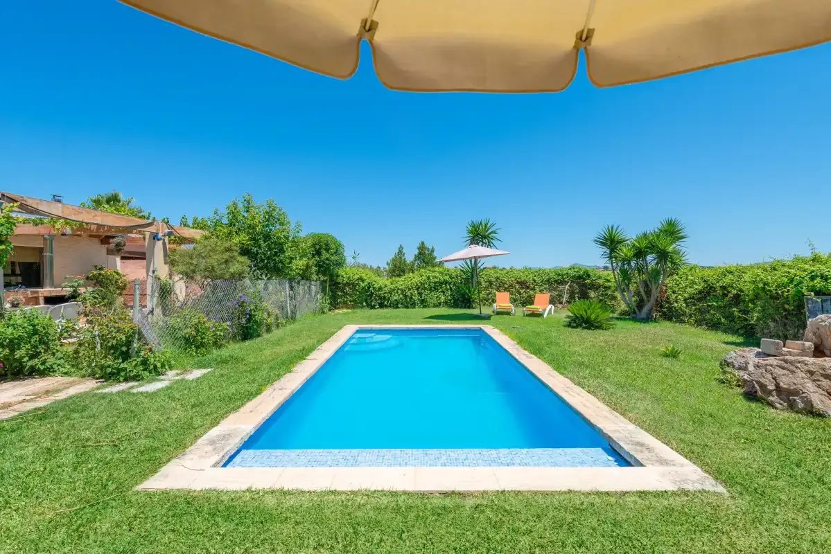 A rectangular swimming pool sits in a grassy garden beneath a clear blue sky.