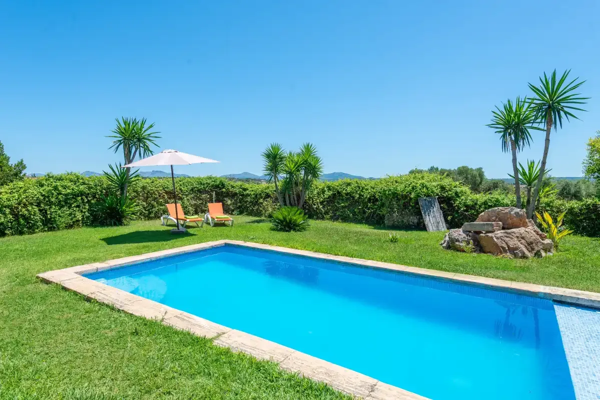 A rectangular swimming pool sits in a sunny garden with green lawn and palm trees.