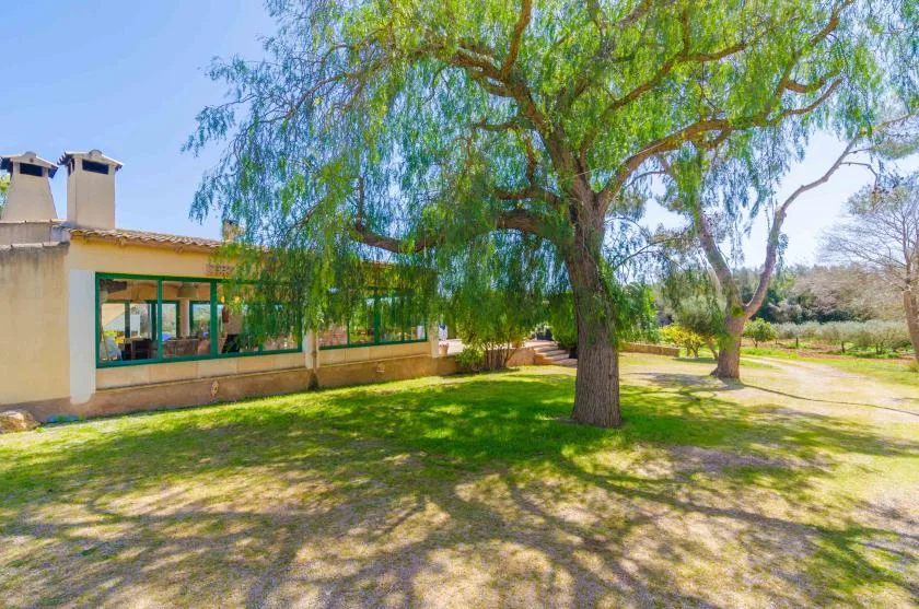A low building sits beside a broad tree in a sunny landscaped yard.