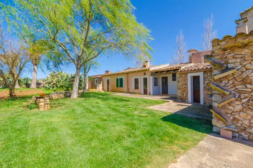 A single-story building borders a grassy yard with a large leafy tree.