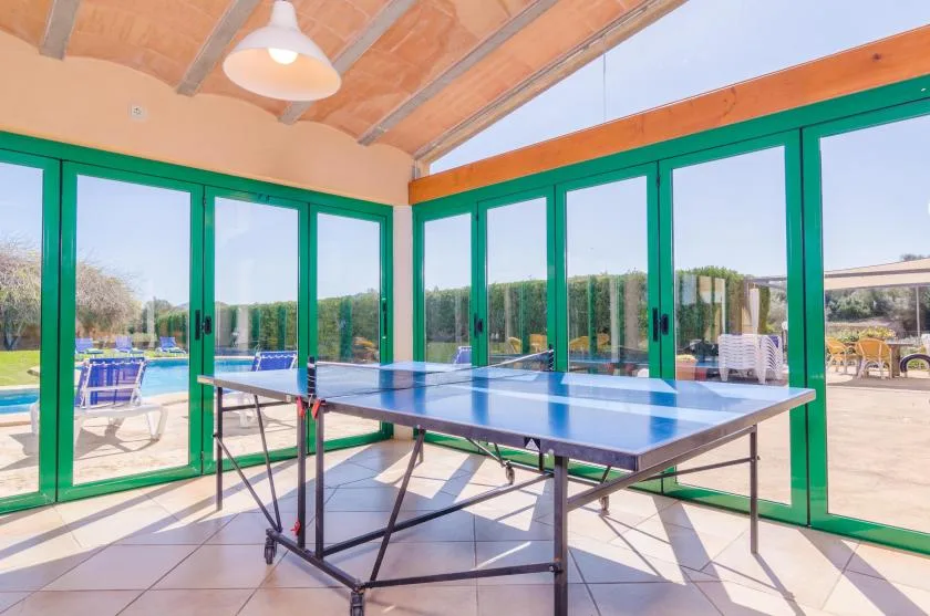 A table tennis table sits in a bright room surrounded by large glass doors.