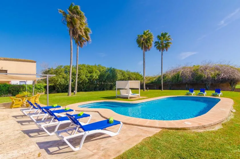 A swimming pool sits in a sunny lawn beside several loungers and palm trees.