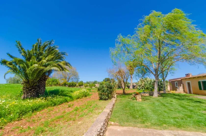 A garden path runs between flowering grass and a lawn beside a house.
