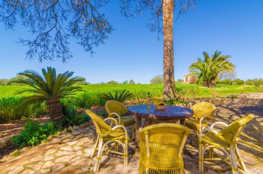 An outdoor patio seating area overlooks a green field, with a table beneath a tree.