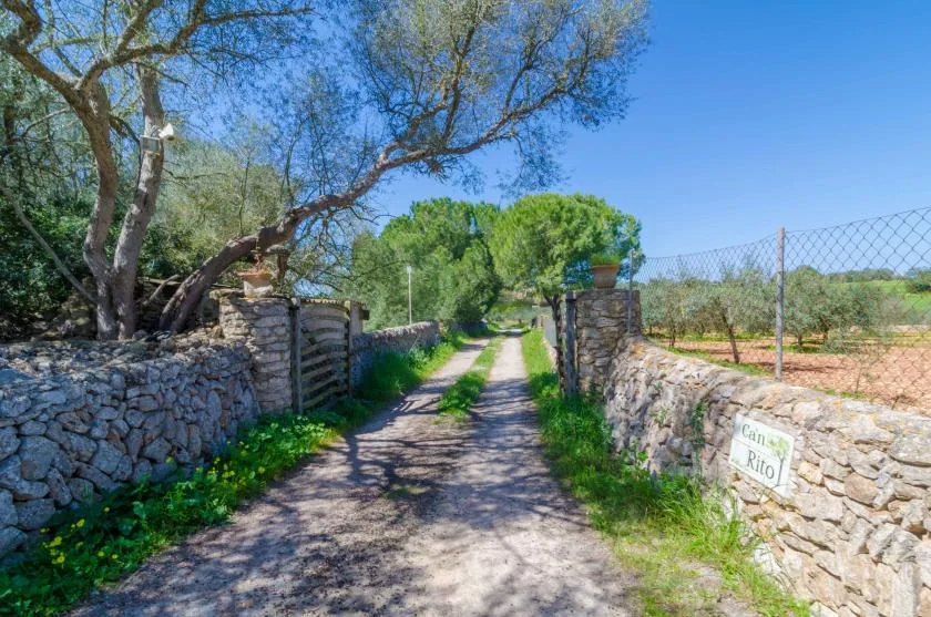 A tree-lined gravel path runs between low stone walls and a wire fence.