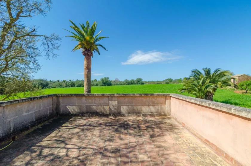 A paved outdoor terrace overlooks green fields and palm trees.